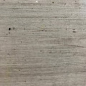 Katherine Lucas's photo