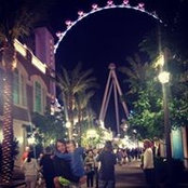 Trista Aitken's photo