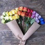 Ann Riordan's photo