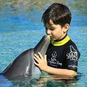 Ruslan Abbasov's photo