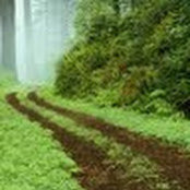 David Callaby's photo