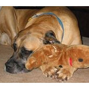 Michelle Littell's photo