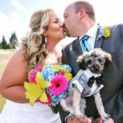 Julie Zanetti's photo