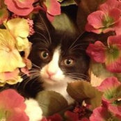 Foto von Erica Lofquist