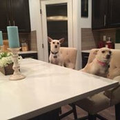 Bryan Welch's photo