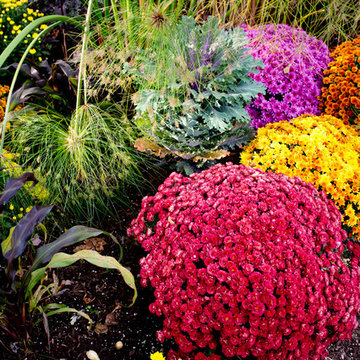 Autumn Decor & New England Road Trip