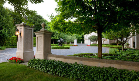 American Basswood Provides Garden Shade and Forage for Pollinators