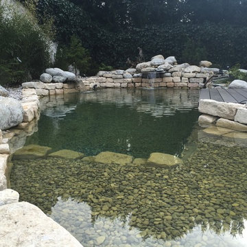 Naturteich