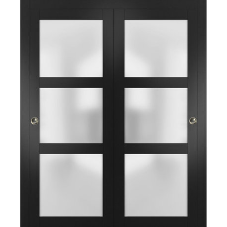 Closet Frosted Glass Bypass Doors 60 x 80, Lucia 2552 Matte Black