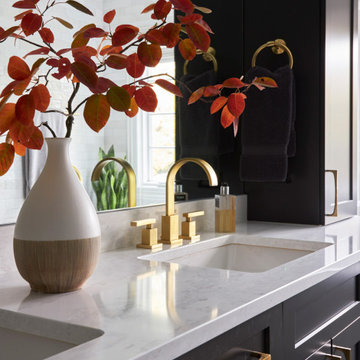 Dazzling Transitional Design Primary Bath