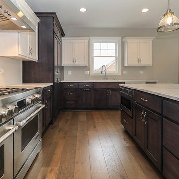 Amelia III Modified | South Pointe Naperville, IL