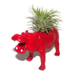 Hot Hippo Tillandsia Planter - Indoor Pots And Planters