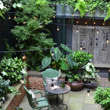backyard brainstorm