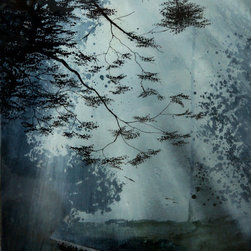 Forest Night - Paintings