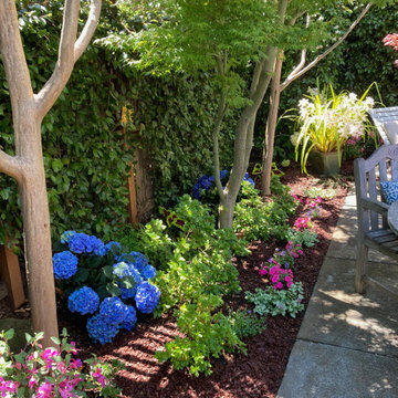 Los Altos | New Small Space Transformed