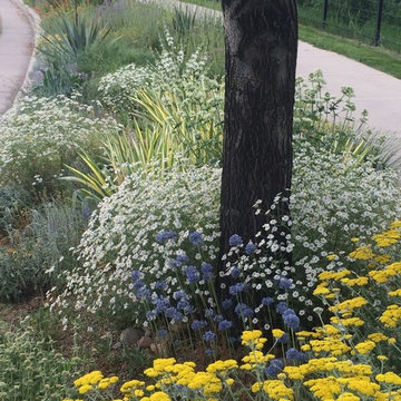 Gardens on Spring Creek hellstrip