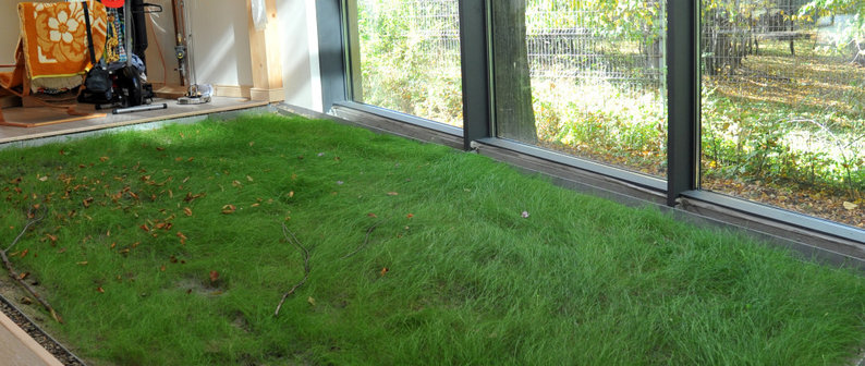 SIBELIUS Neuwied DE 56566 Houzz ES