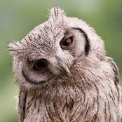 Bridget Callahan's photo