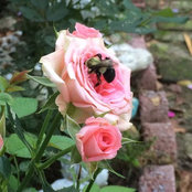Karla Gartsu Brunneau's photo