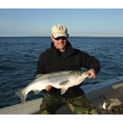 Todd Beck's photo