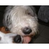 David Sill's photo