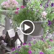 Phylicia Melugin's photo