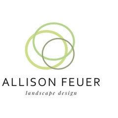 Allison Feuer Design