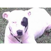 Paula Proffitt's photo