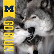 Pam Davidson's photo