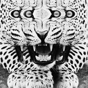Toby Xie's photo