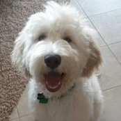 Kelli Auger's photo