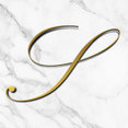 Showcase Builders's profile photo