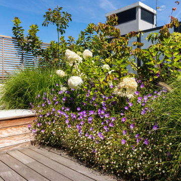 une terrasse foisonnante!