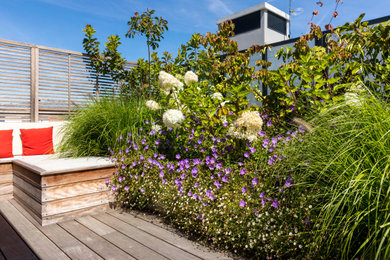 Photo of a mid-sized transitional rooftop deck in Paris with with privacy feature.