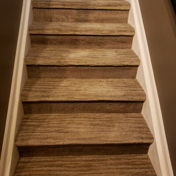 Basement Remodel