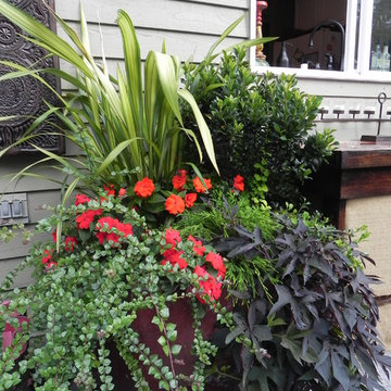 Container Gardens
