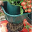 Selections Tomato and Vegetable Growbag Pots, Set of 3