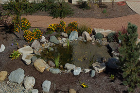 Water Features