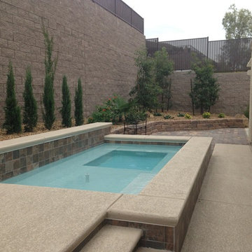 Residential pool and Landscape