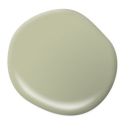 Sage Brush S370-3 - Paint