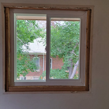 Deck and windows