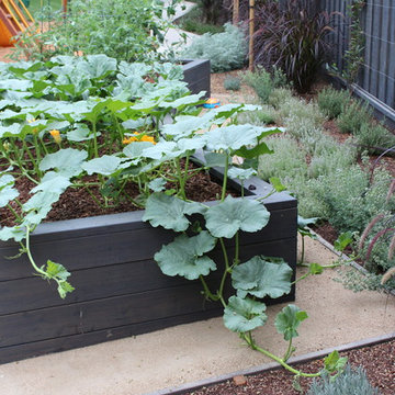 Veggie Beds
