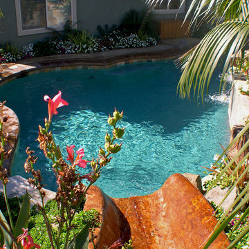 Beautiful Freeform Tropical Pools