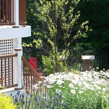 Portfolio of Finished Installations
