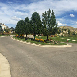 Nilson Homes - Danali - Products