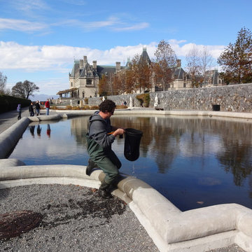 Water Features