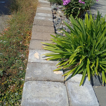 Bark Dust and Landscape Cleanup