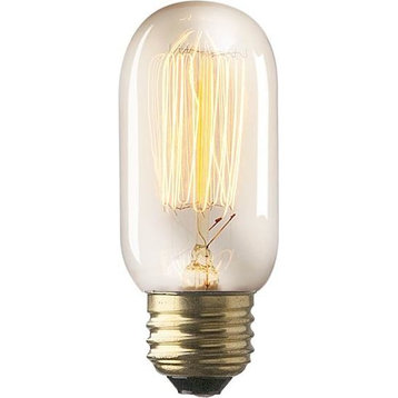 Edisonna Light Bulbs