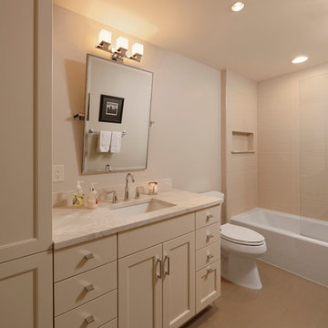 Whole House Renovation in Chevy Chase, MD