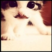 MI KI's photo